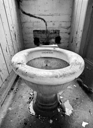 leadless glaze.jpg